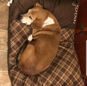 Meet your Posher, Janette